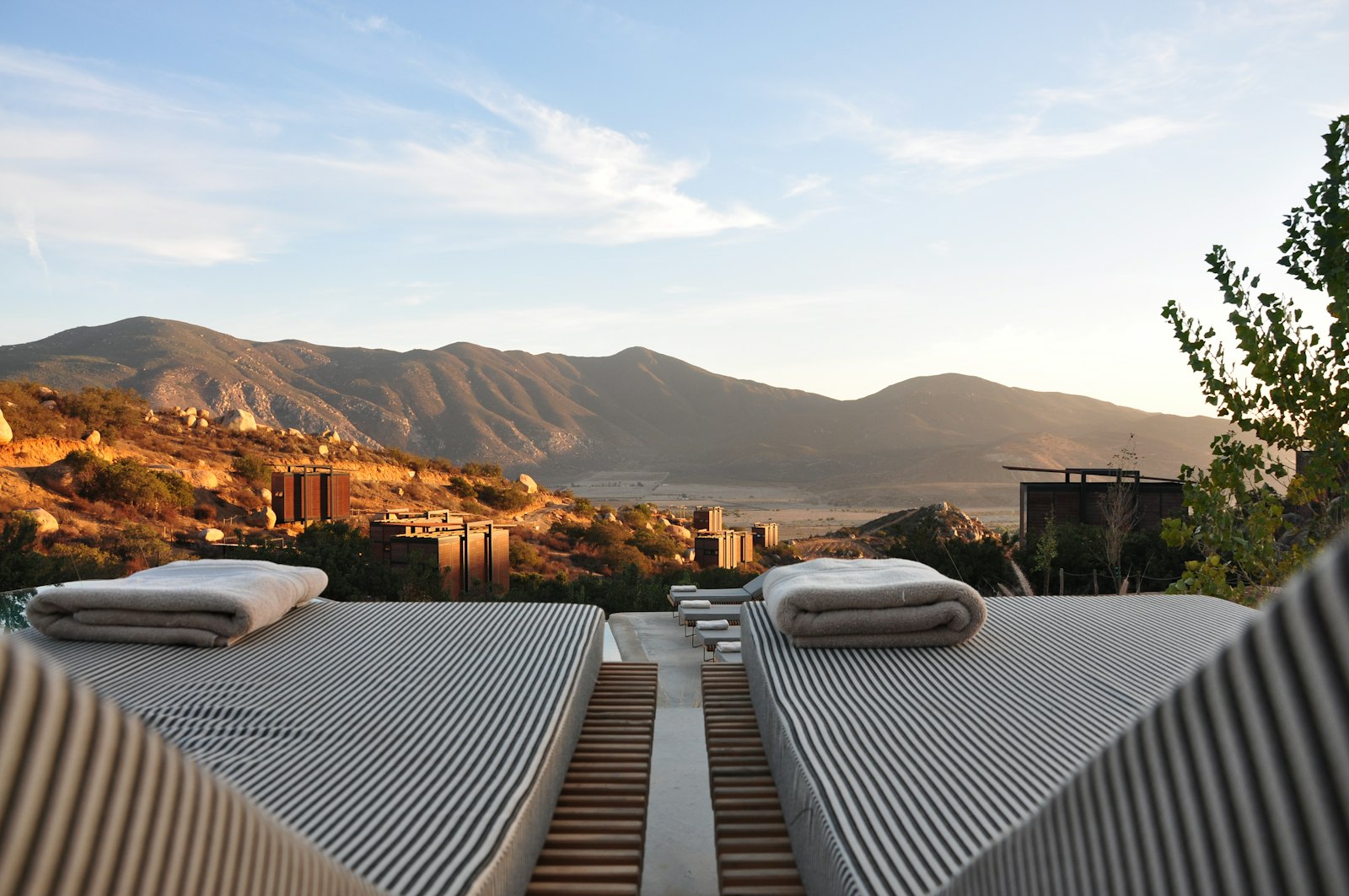 Desert and arid landscape stays