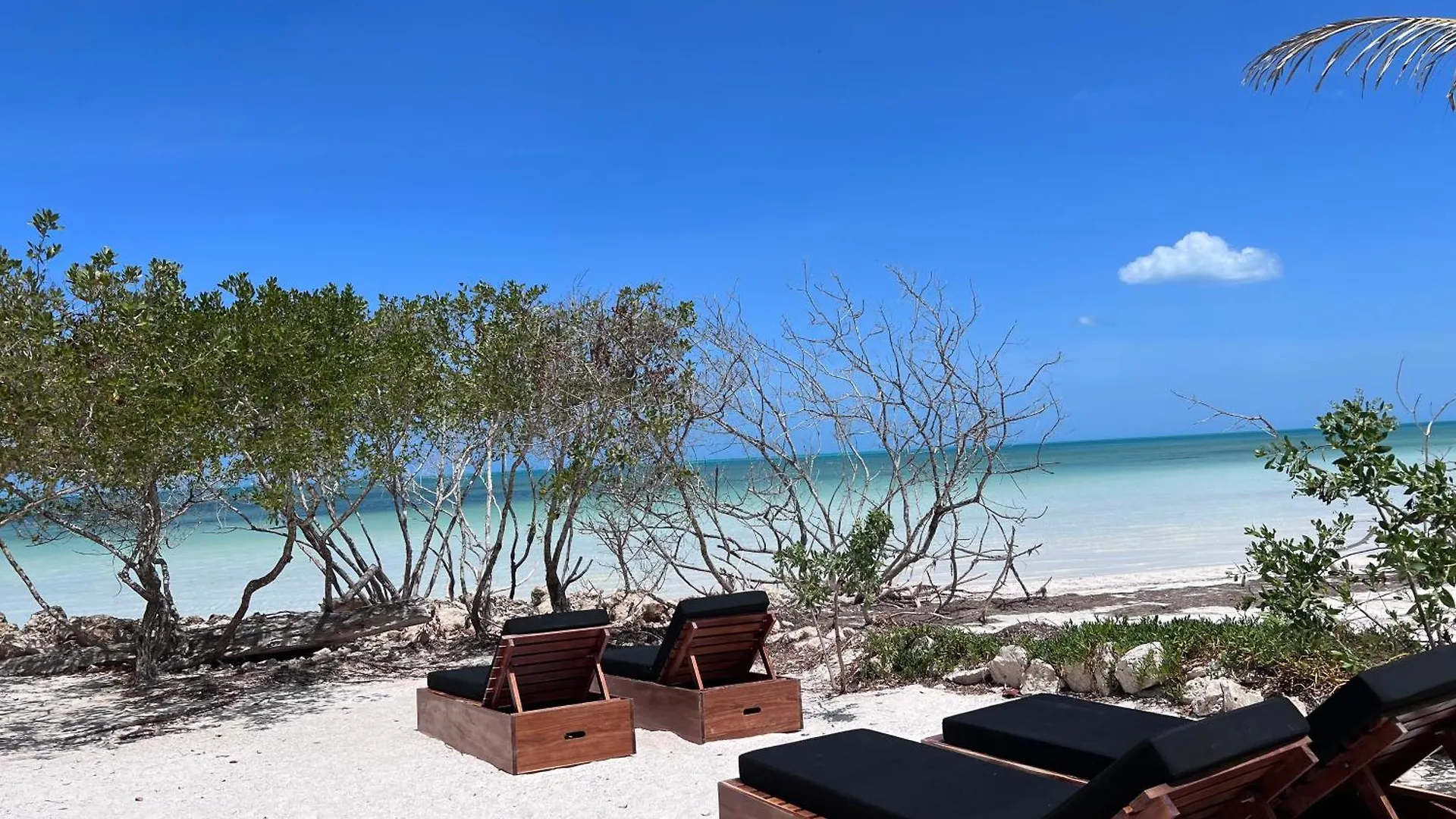 Casa Punta Coco & Beach Club — 3