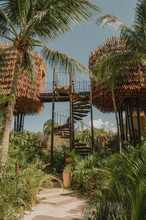Nomade Holbox — 30