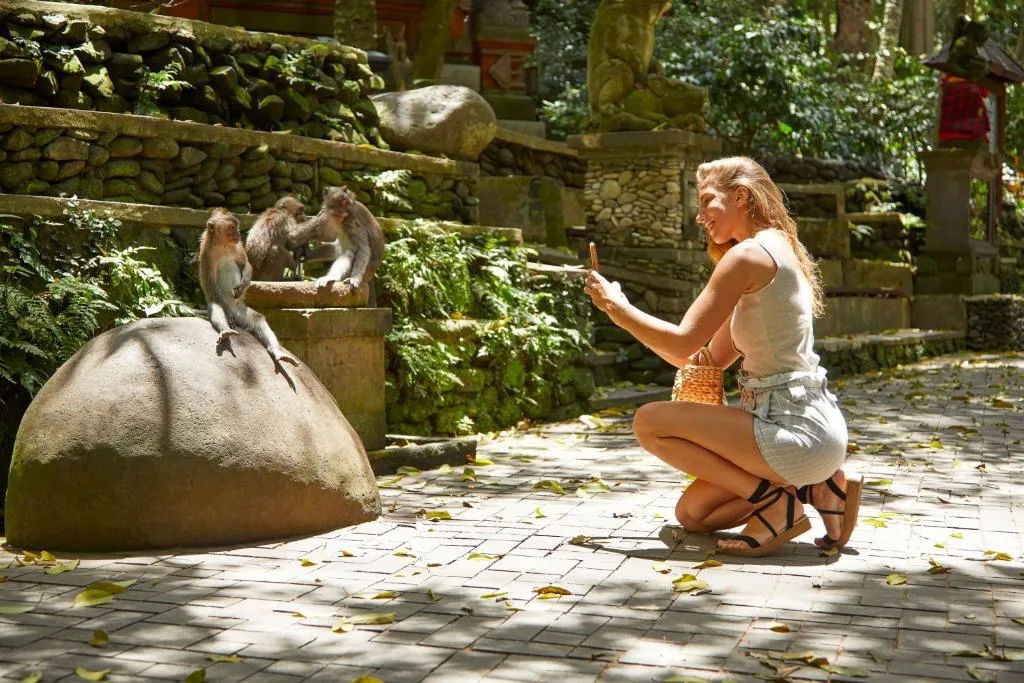 Element Bali Ubud — 15