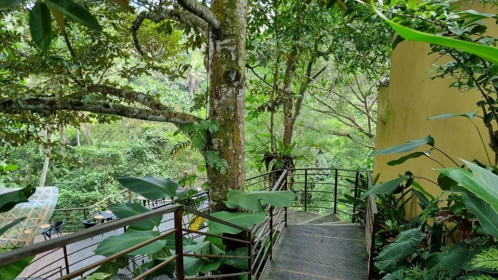 The Sebali Resort — 21
