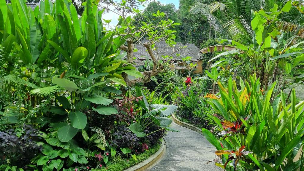 The Sebali Resort — 3