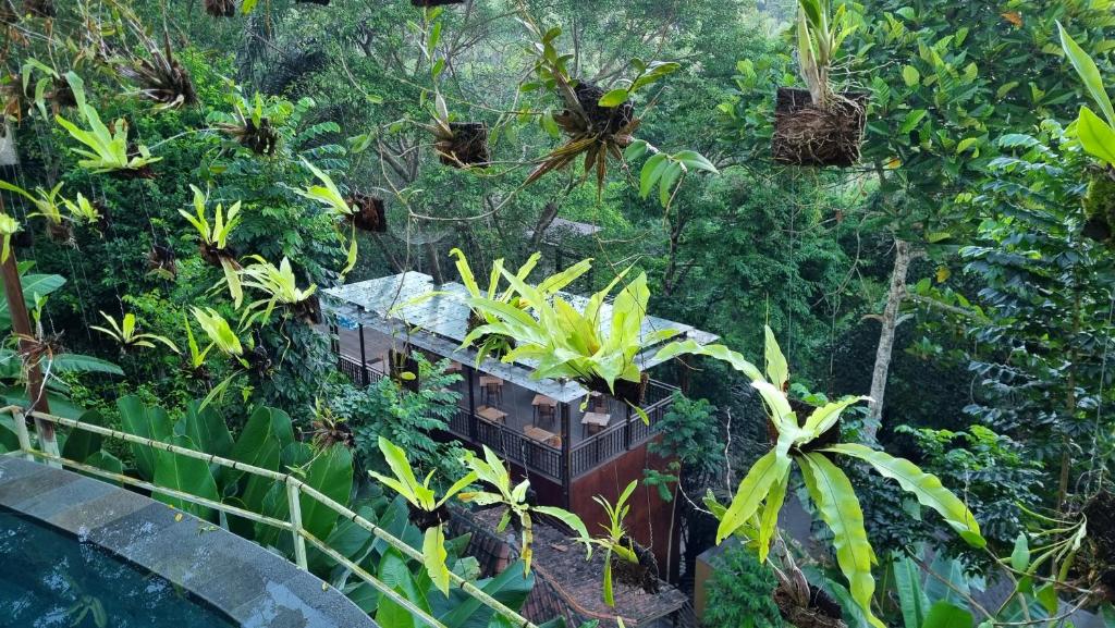 The Sebali Resort — 4