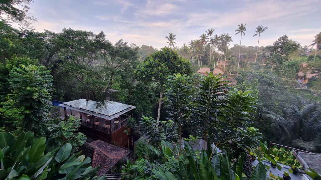 The Sebali Resort — 5
