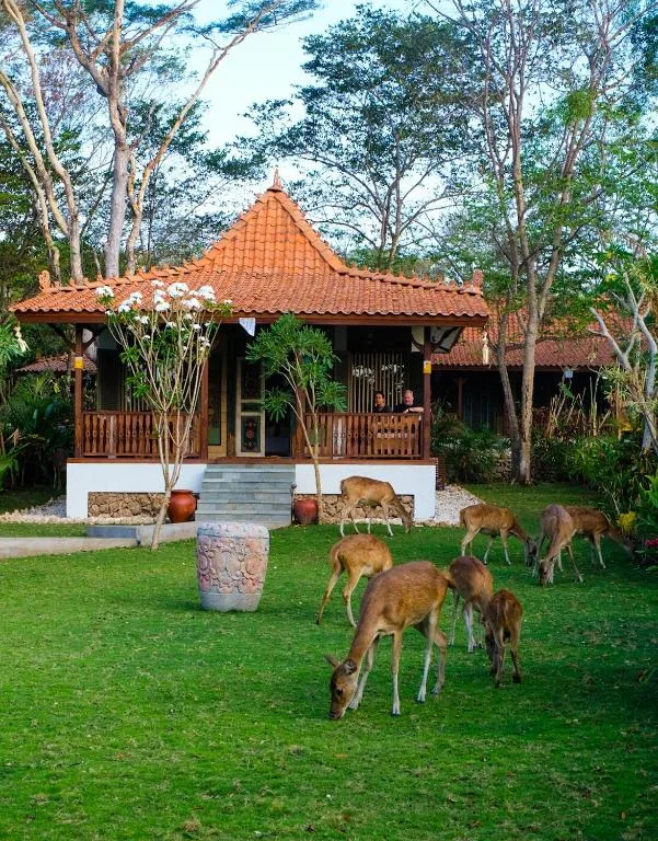 Plataran Menjangan Resort & Spa — 16