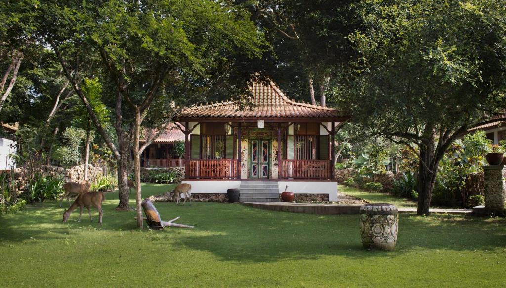 Plataran Menjangan Resort & Spa — 4