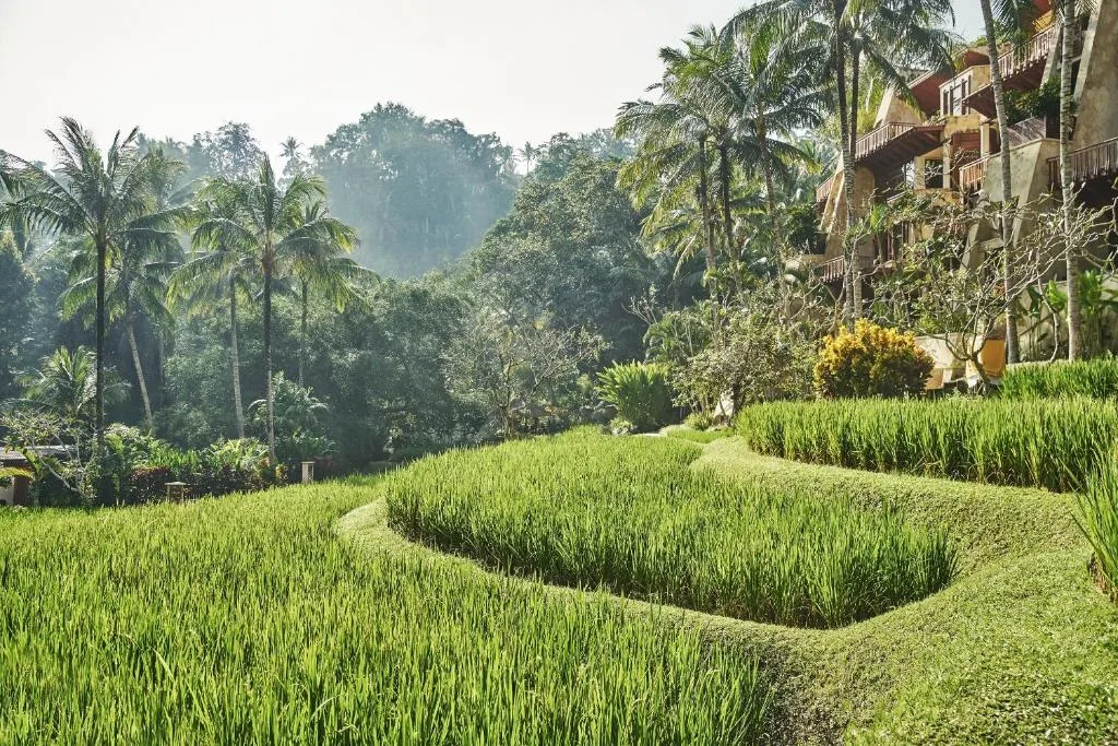 Four Seasons Resort Bali at Sayan — 5