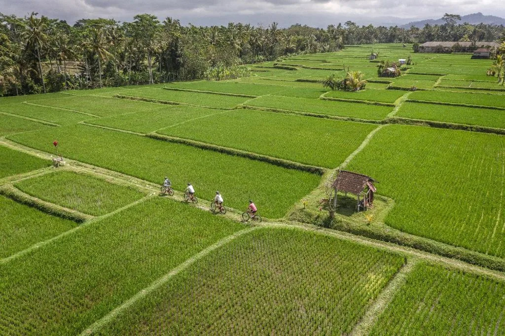 Four Seasons Resort Bali at Sayan — 17