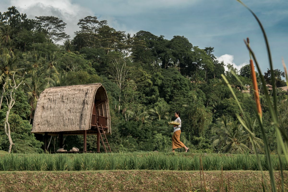 Mandapa, a Ritz-Carlton Reserve — 6