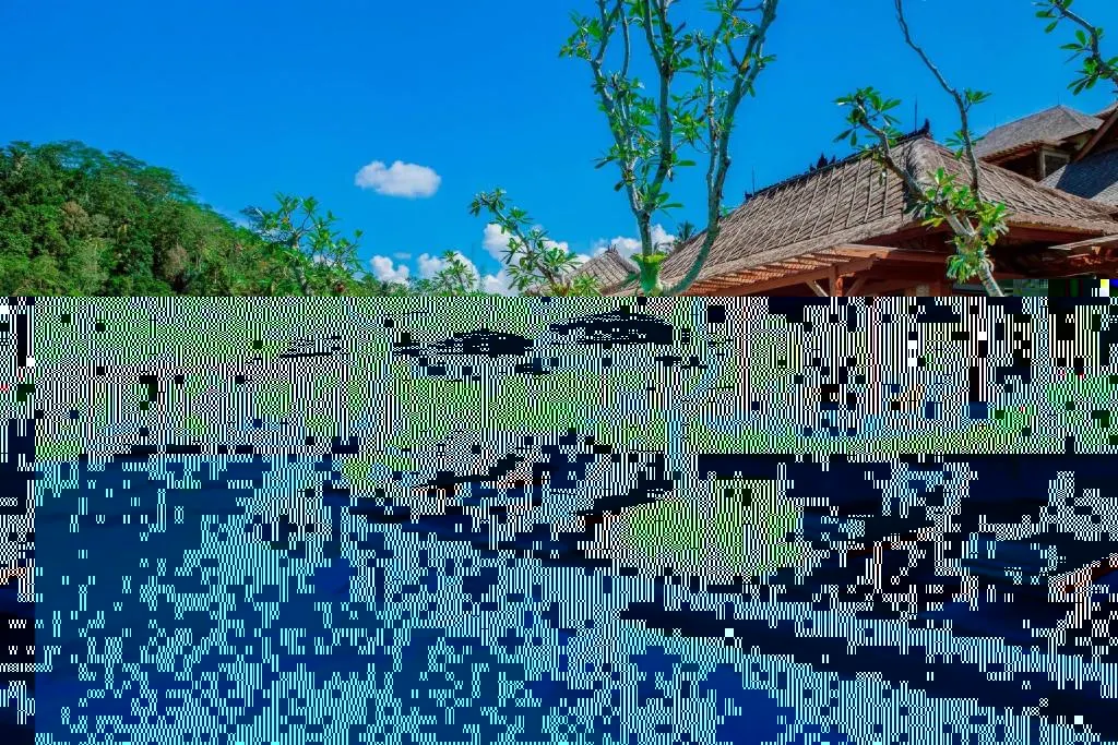 Mandapa, a Ritz-Carlton Reserve — 16