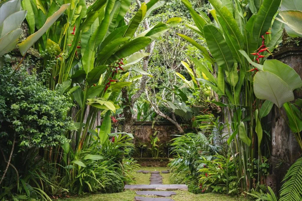 Mandapa, a Ritz-Carlton Reserve — 43