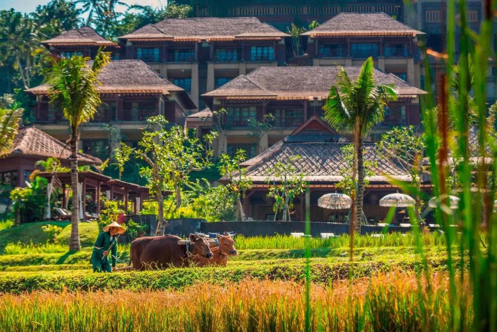 Mandapa, a Ritz-Carlton Reserve — 26