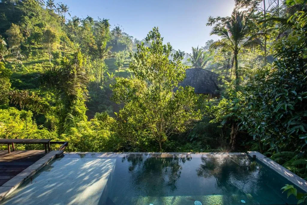 Buahan, a Banyan Tree Escape — 19