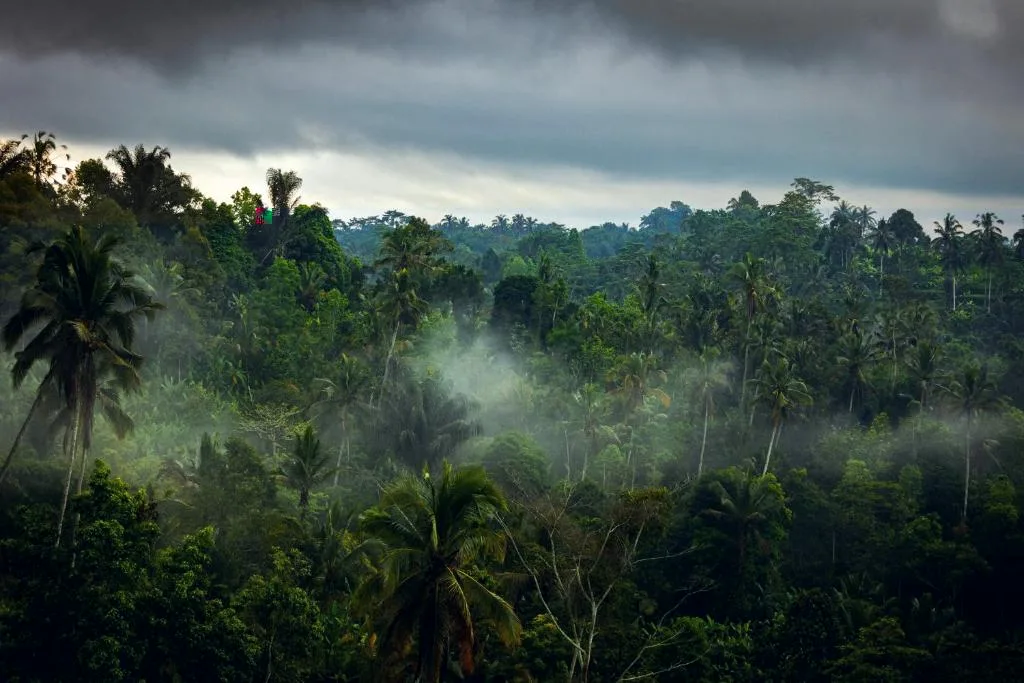 Anantara Ubud Bali Resort — 14