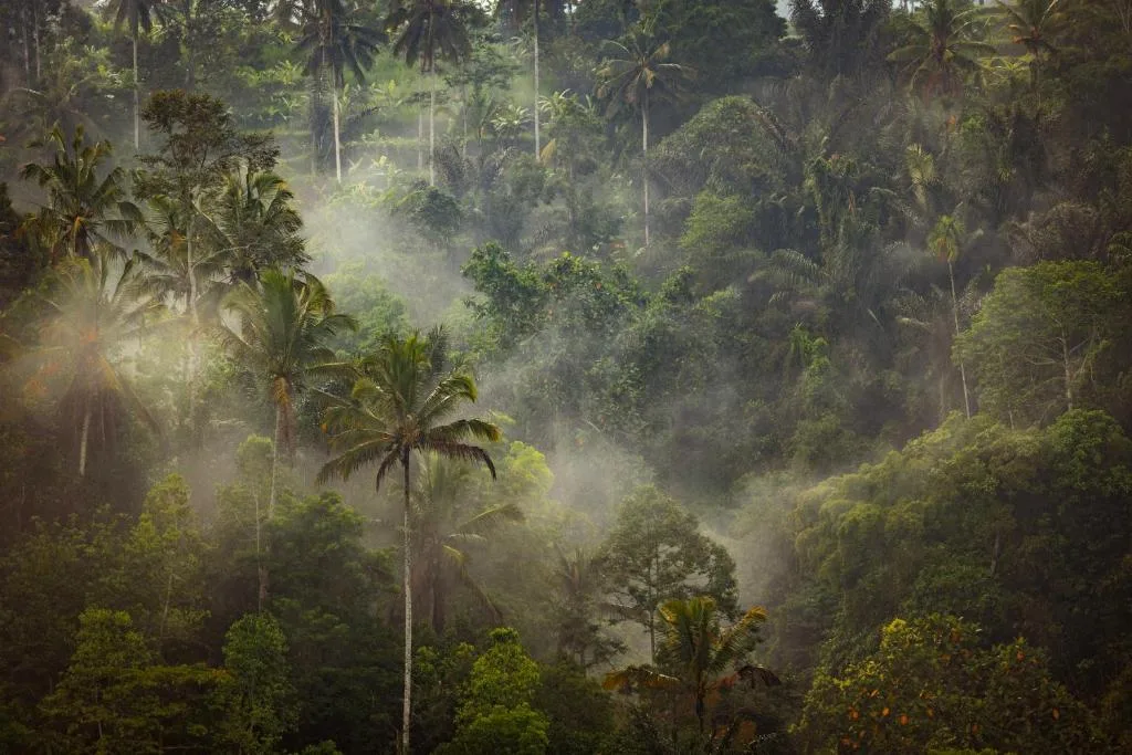 Anantara Ubud Bali Resort — 15
