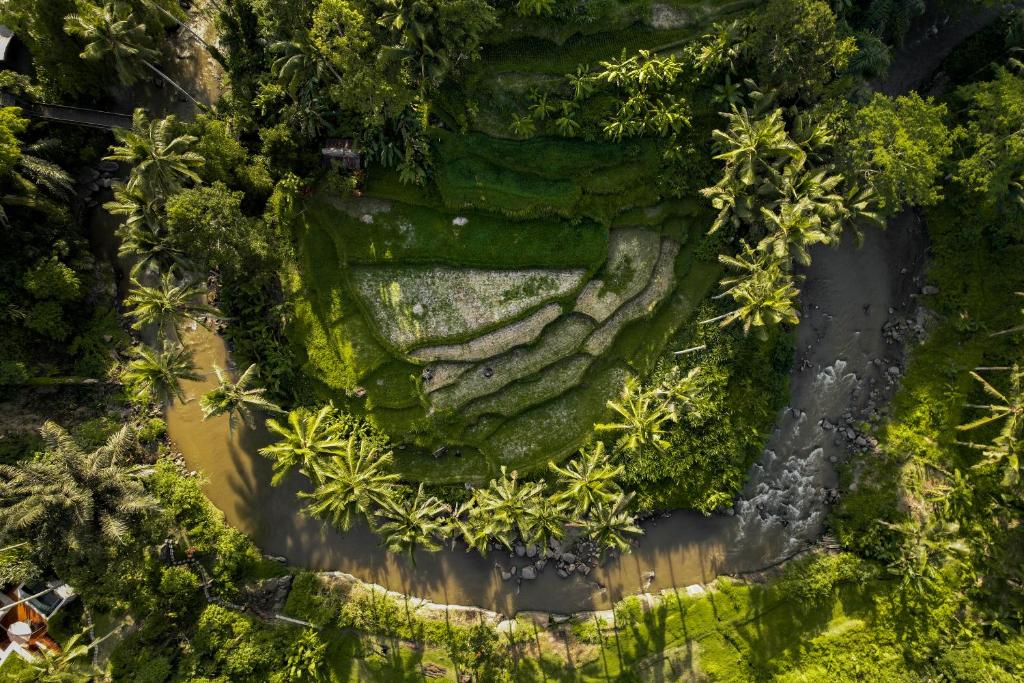 The Ridge Bali — 1
