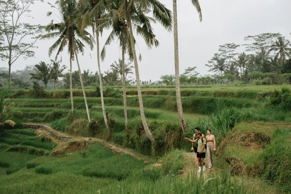 Bambootel Sawah View — 34