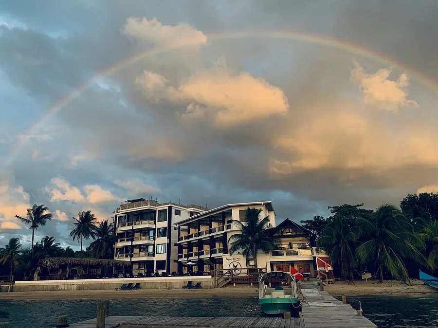 Brisas Del Mar Beach + Dive Resort — 4