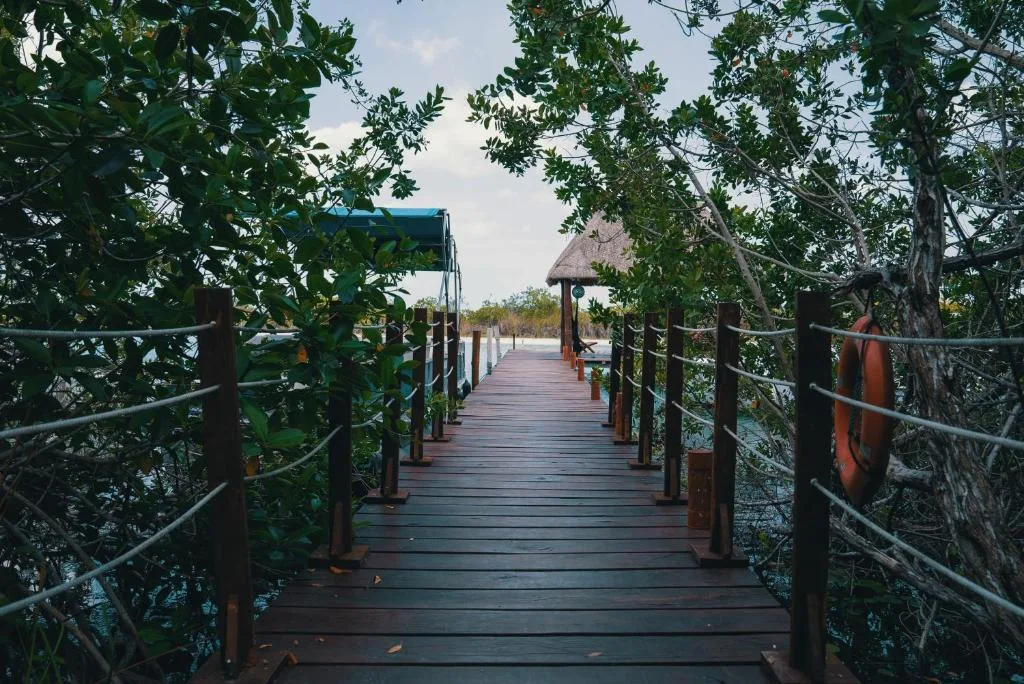 Bluebayou Bacalar — 14