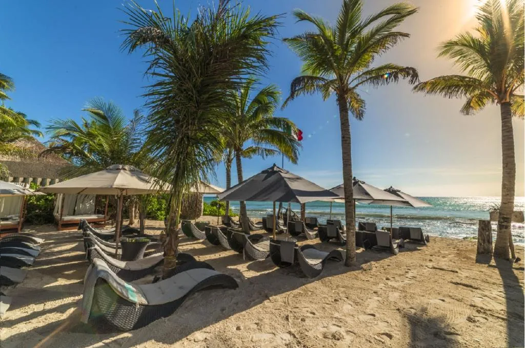 Mvngata Beach Hotel — 17