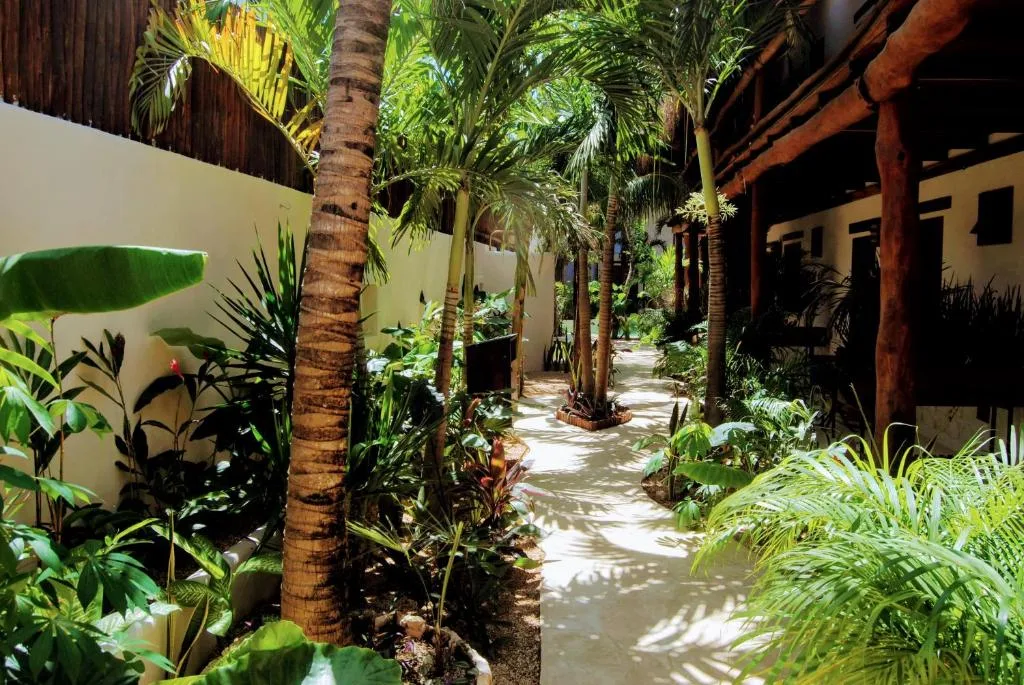 Hotel Boutique Terranova — image 17