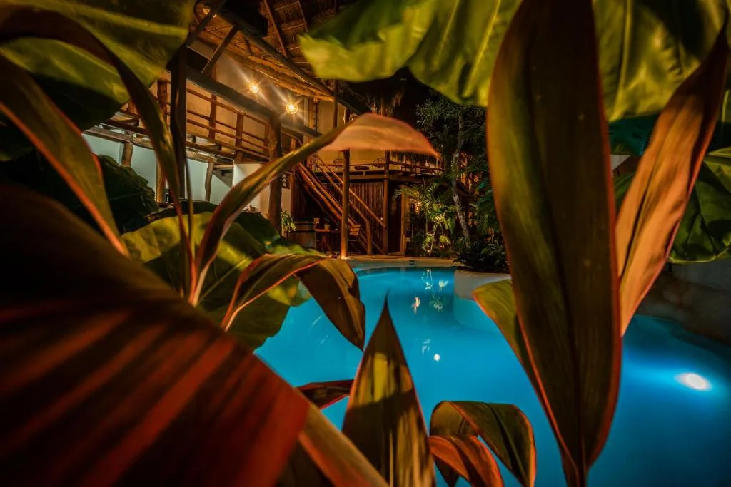 Hotel Boutique Terranova — image 3