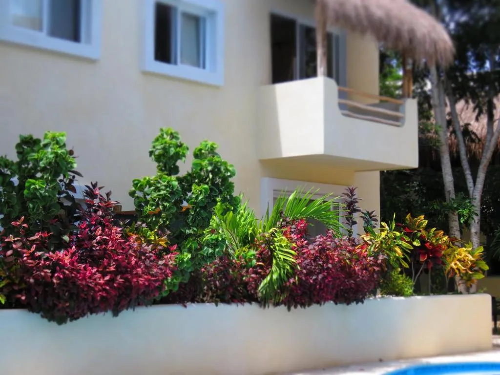 Hotel & Suites Oasis Bacalar — 18