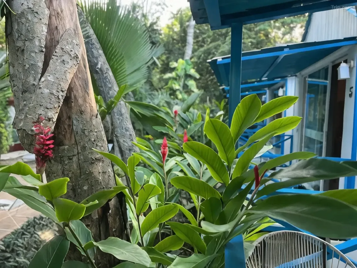 Zensus Eco Boutique Hotel — 15