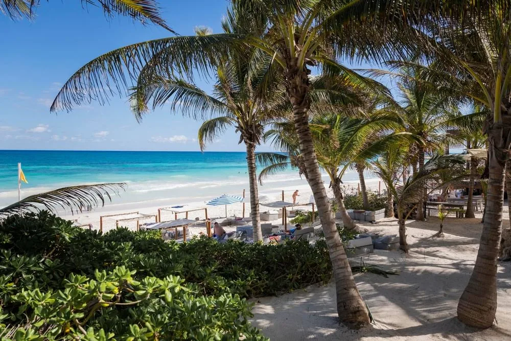 La Zebra Boutique Hotel Tulum — 9