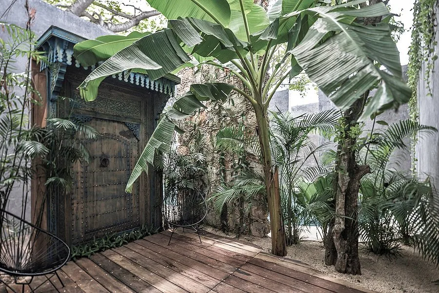 Hotel Casa Hormiga Bacalar — 15