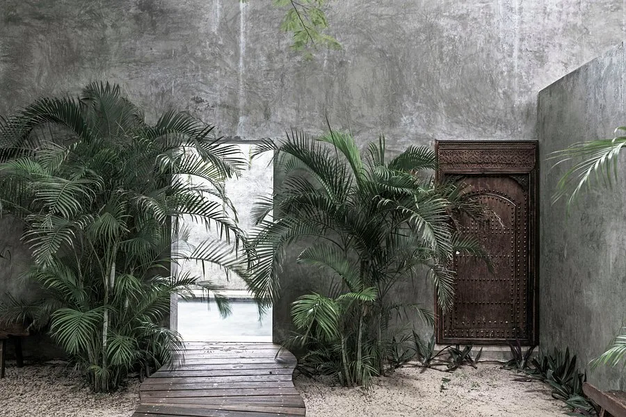 Hotel Casa Hormiga Bacalar — 4