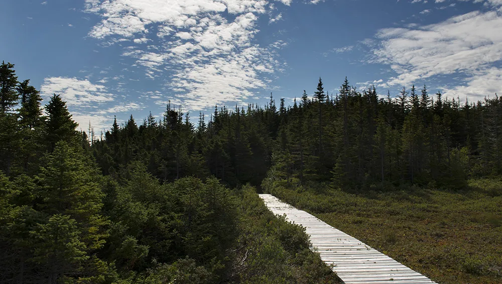 Fogo Island Inn — 7
