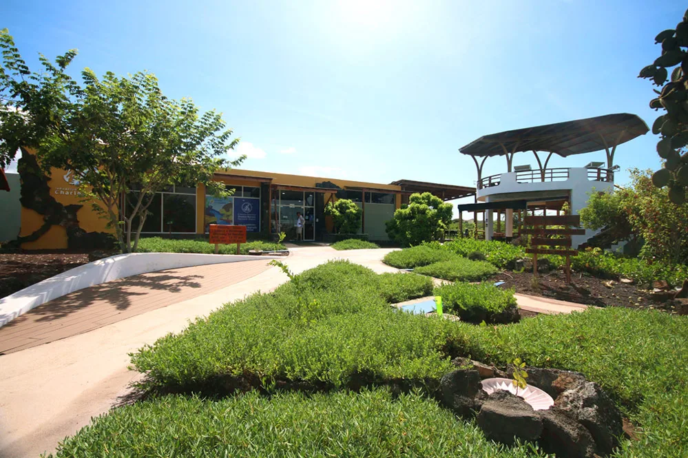 Pikaia Lodge — 14