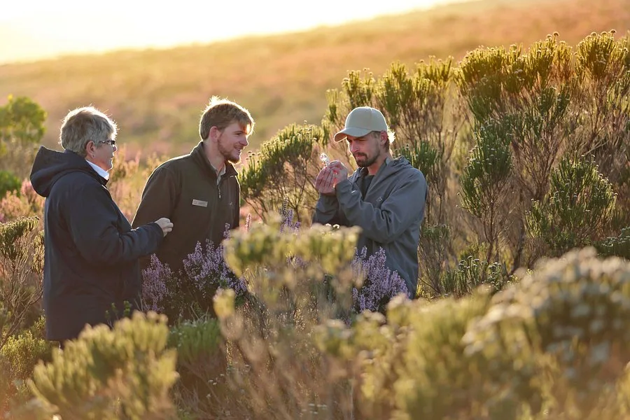 Grootbos Private Nature Reserve — 1