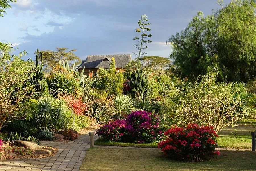 Segera Retreat — 1