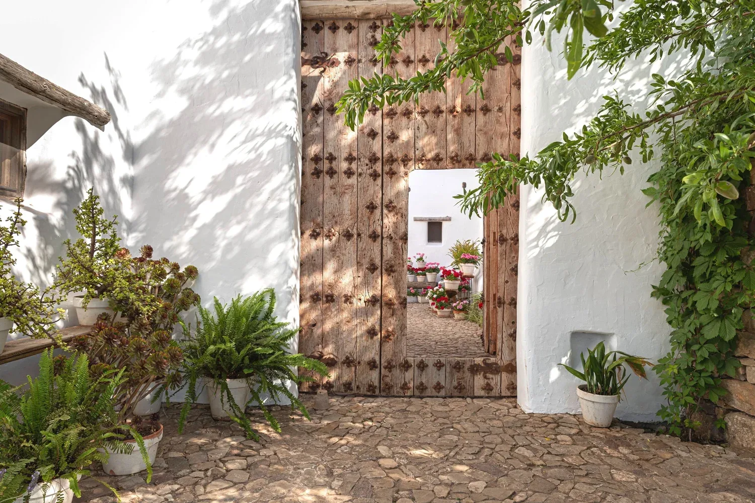 La Donaira — 15