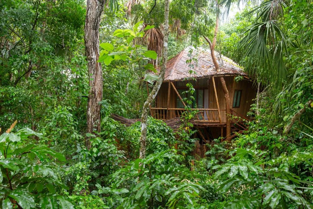 Kokoro Mío Bacalar — 1