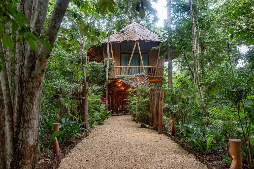 Kokoro Mío Bacalar — 11