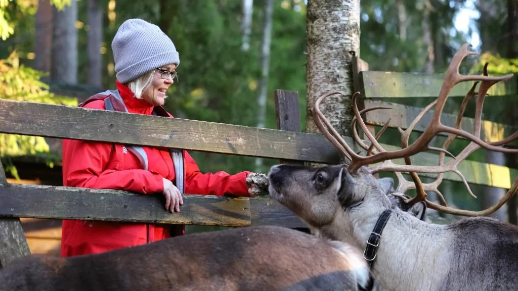 Haltia Lake Lodge - Finland — 6