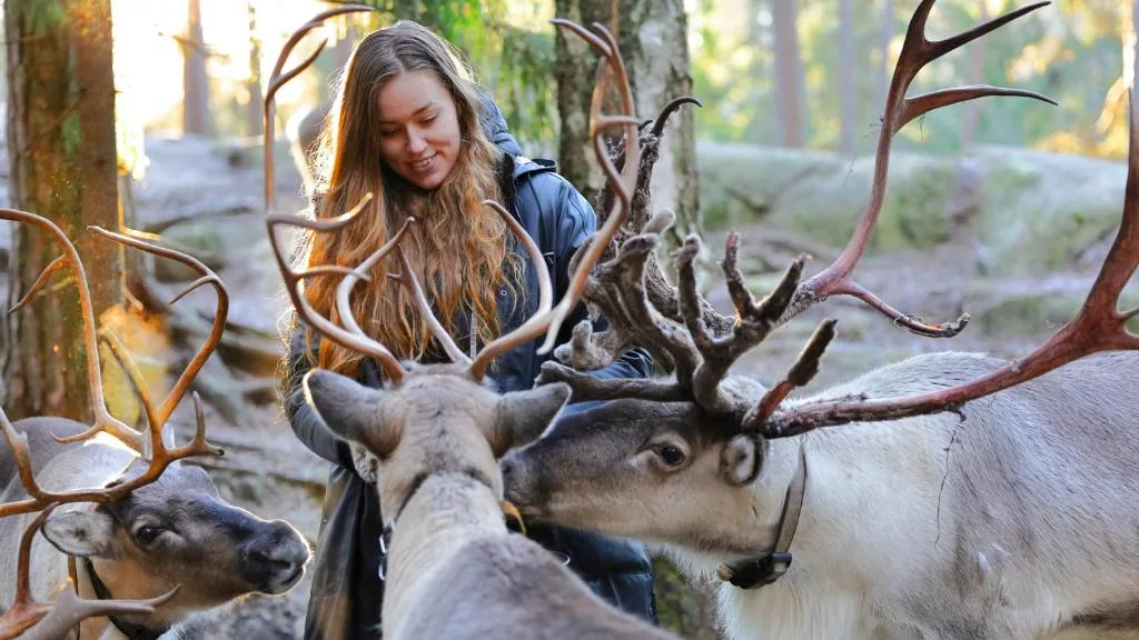 Haltia Lake Lodge - Finland — 5