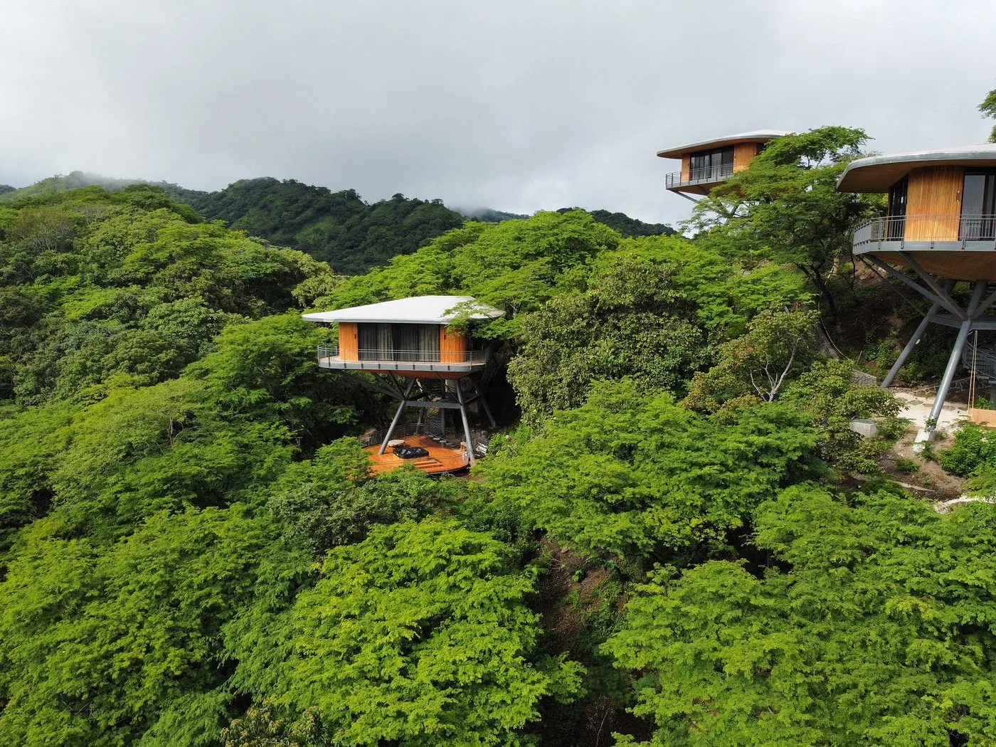 Suitree Experience Hotel