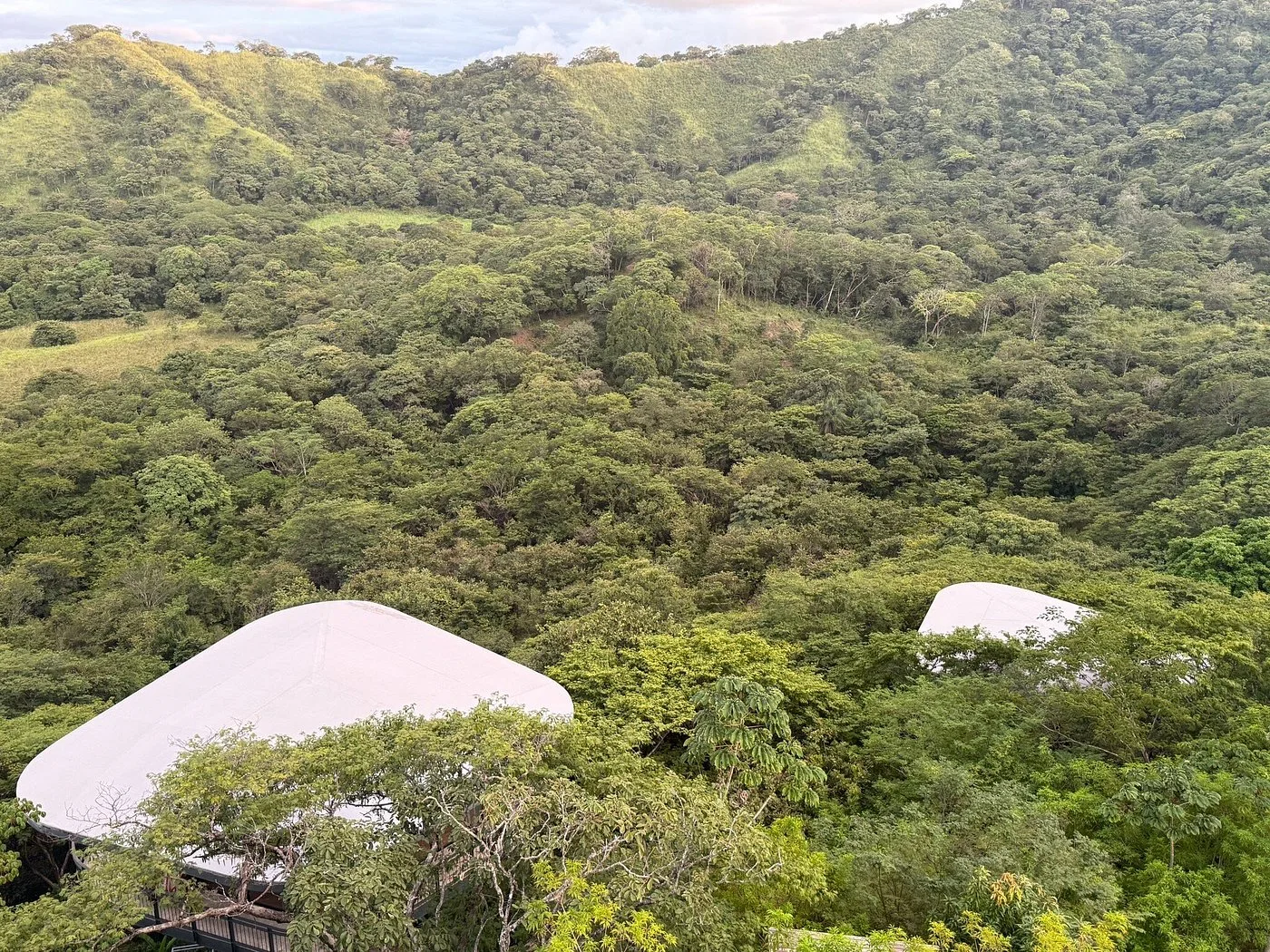 Suitree Experience Hotel — 10
