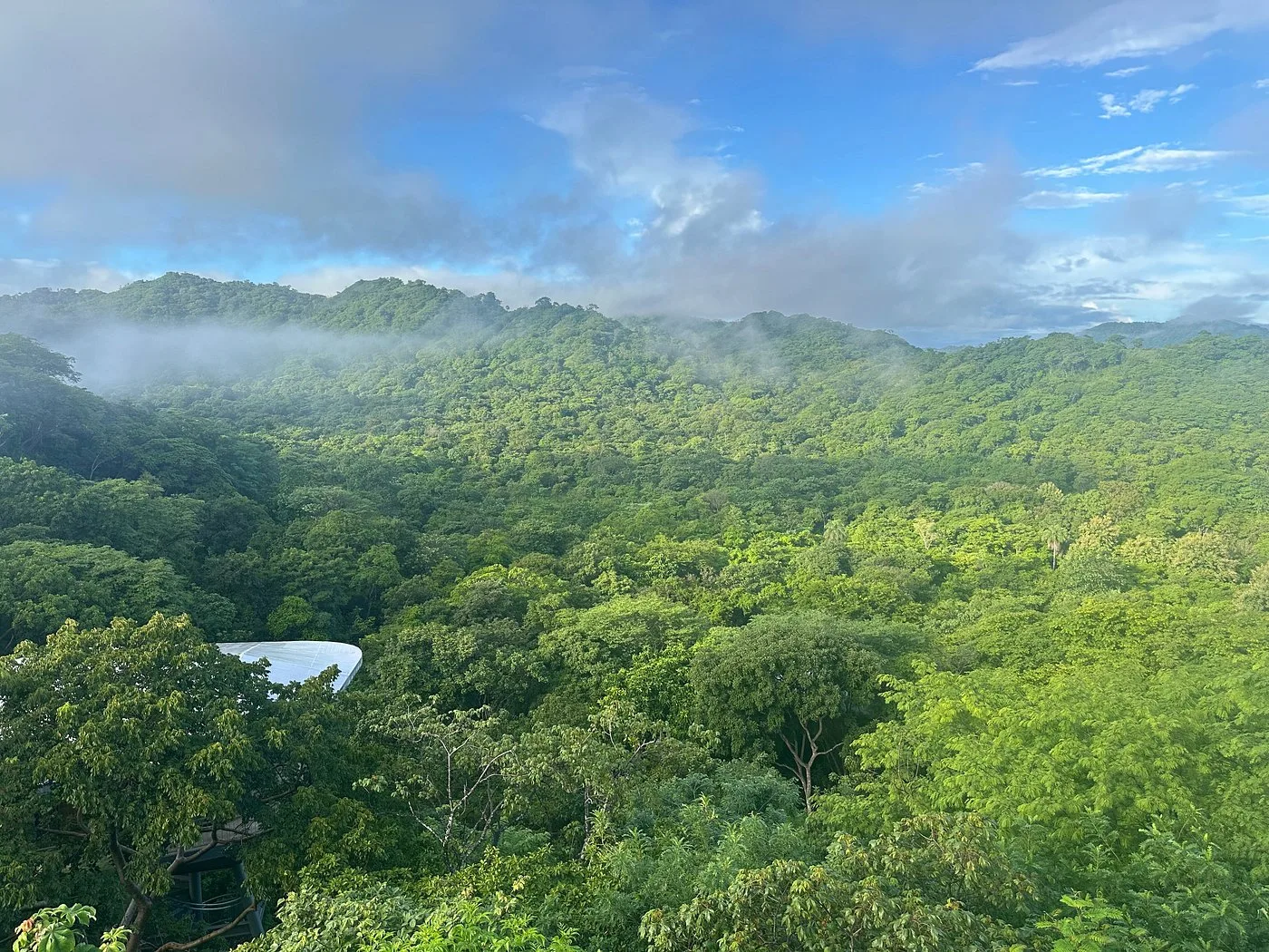 Suitree Experience Hotel — 6