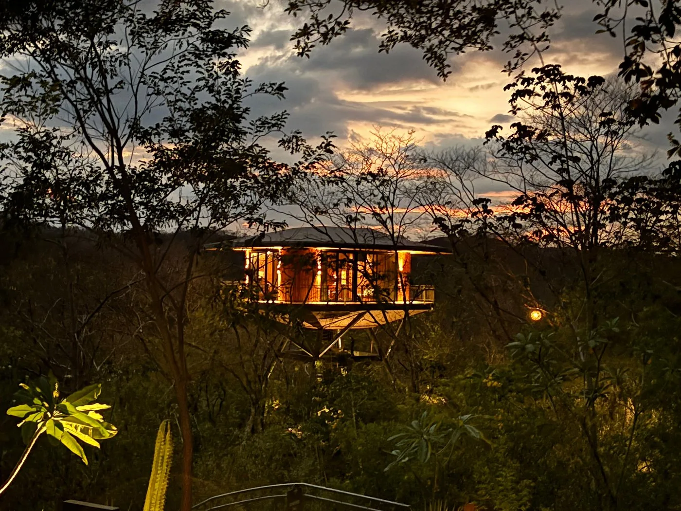 Suitree Experience Hotel — 5