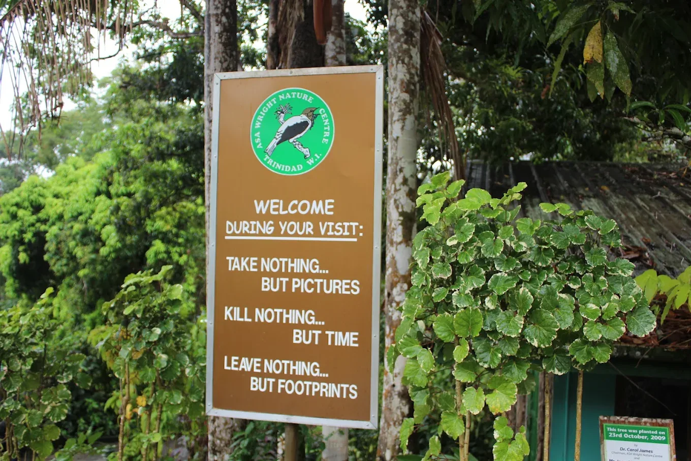Asa Wright Nature Centre — 1