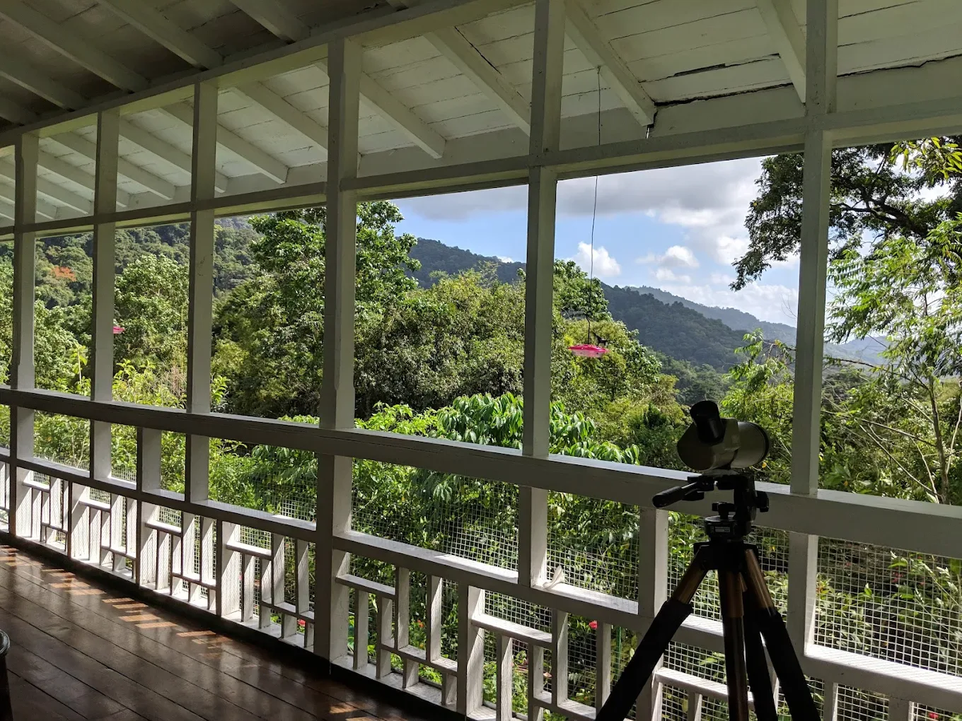 Asa Wright Nature Centre — 2