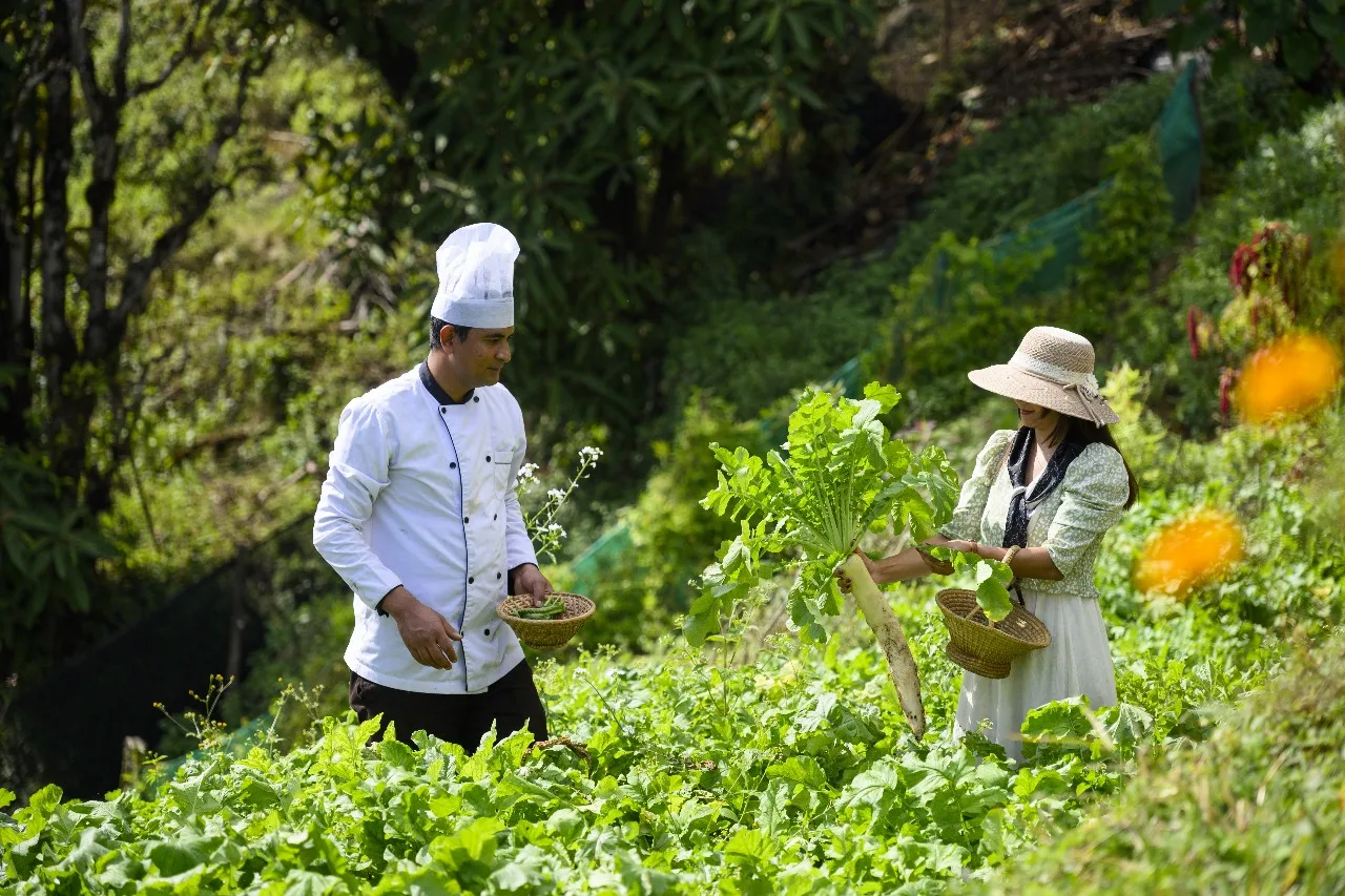 Prakriti Resort and Organic Farm — 1