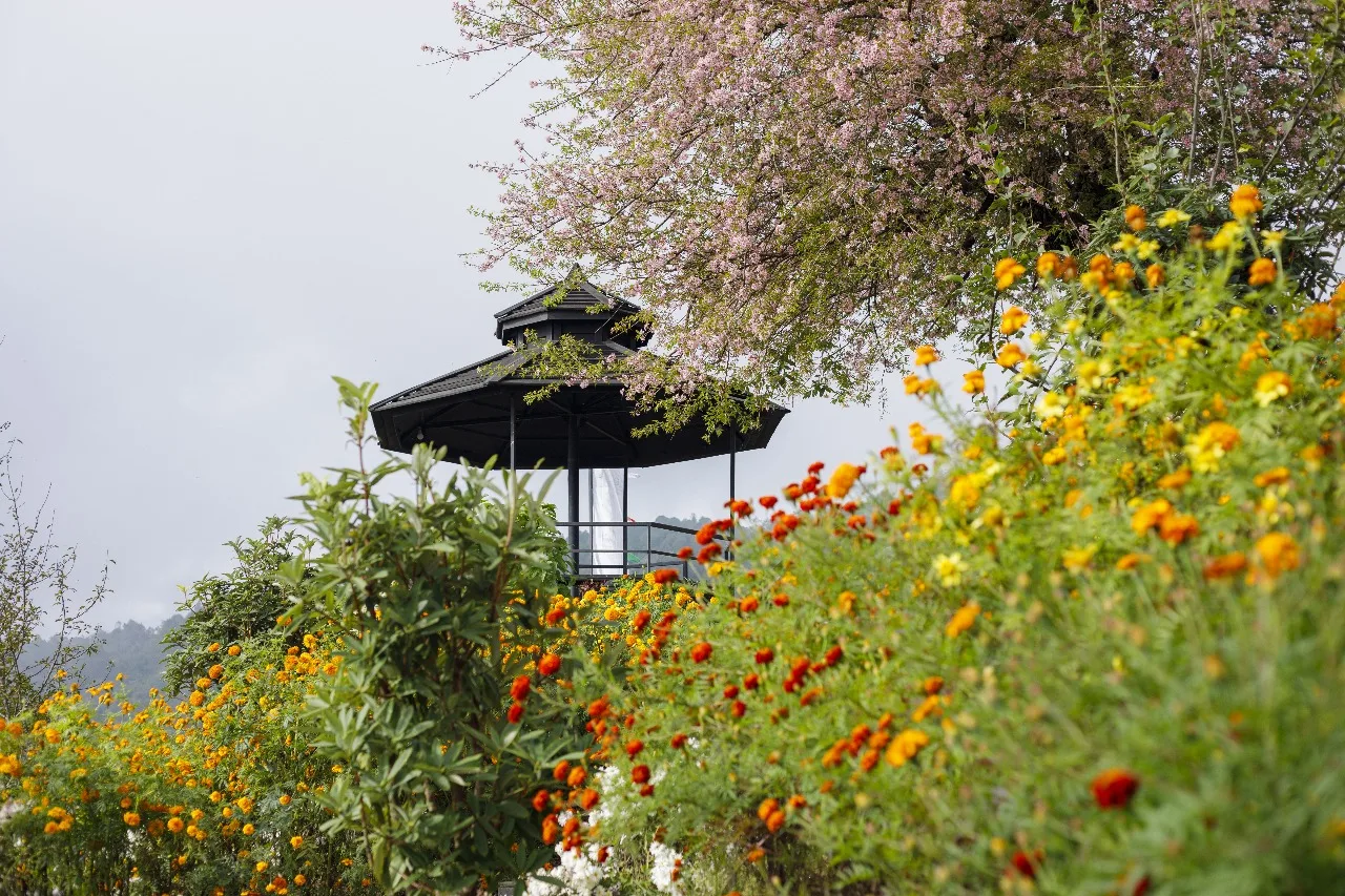 Prakriti Resort and Organic Farm — 17