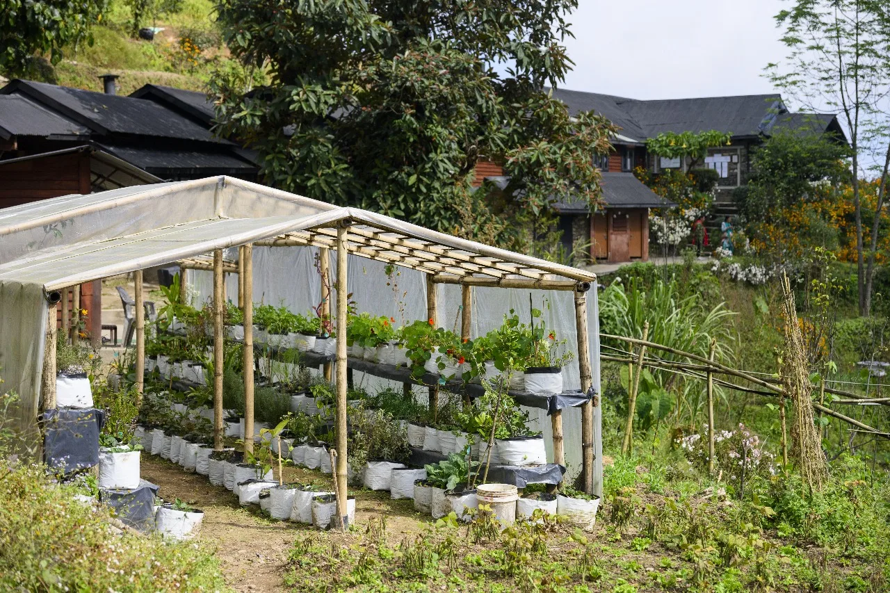 Prakriti Resort and Organic Farm — 2