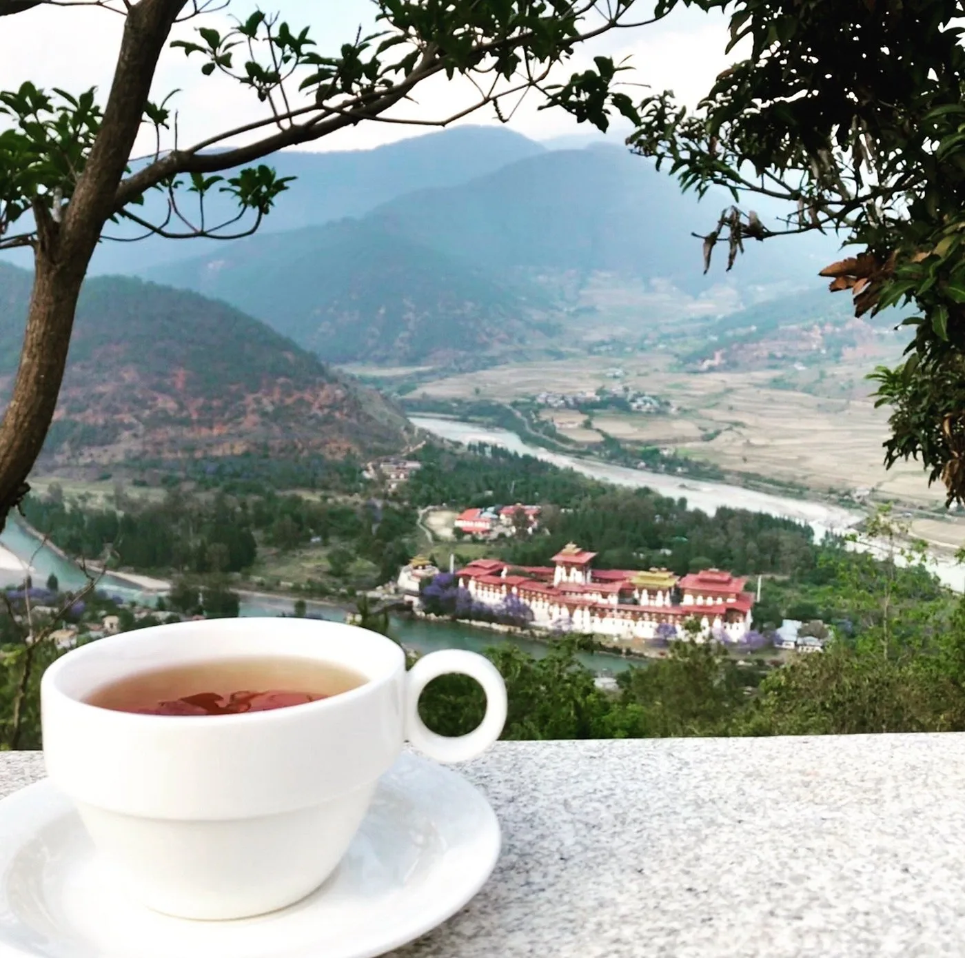 Dhumra Farm Resort — 7